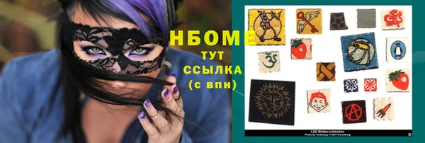 a pvp Бородино