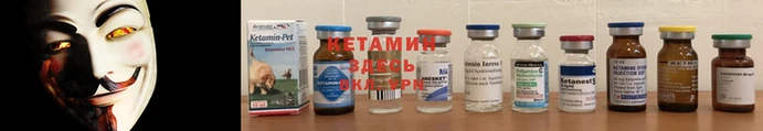 a pvp Бородино
