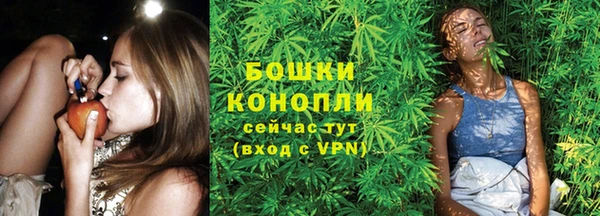 дурь Бронницы