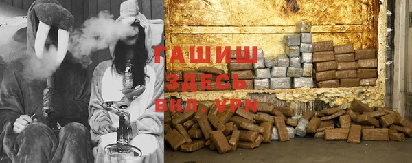 a pvp Бородино