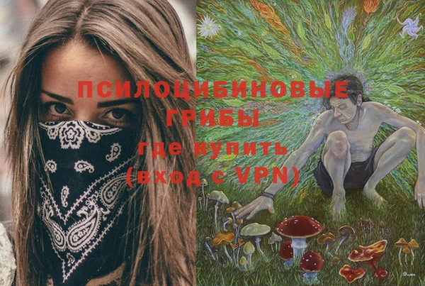 дурь Бронницы