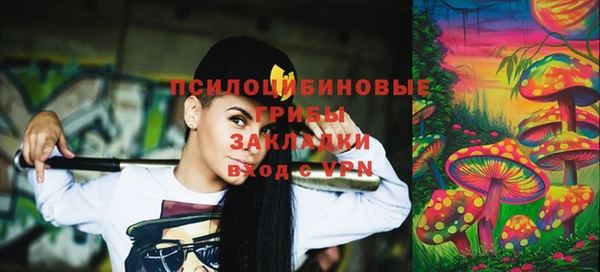 a pvp Бородино
