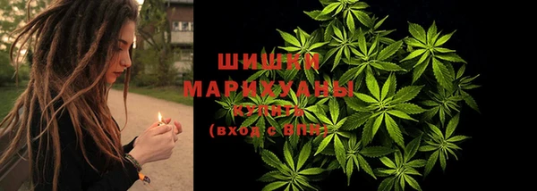 a pvp Бородино